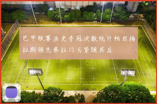 巴甲联赛历史夺冠次数统计帕尔梅拉斯领先弗拉门戈紧随其后