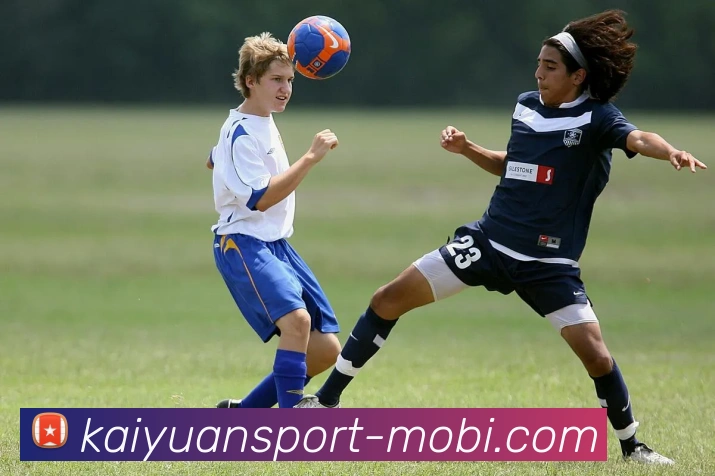 开元体育平台生态图